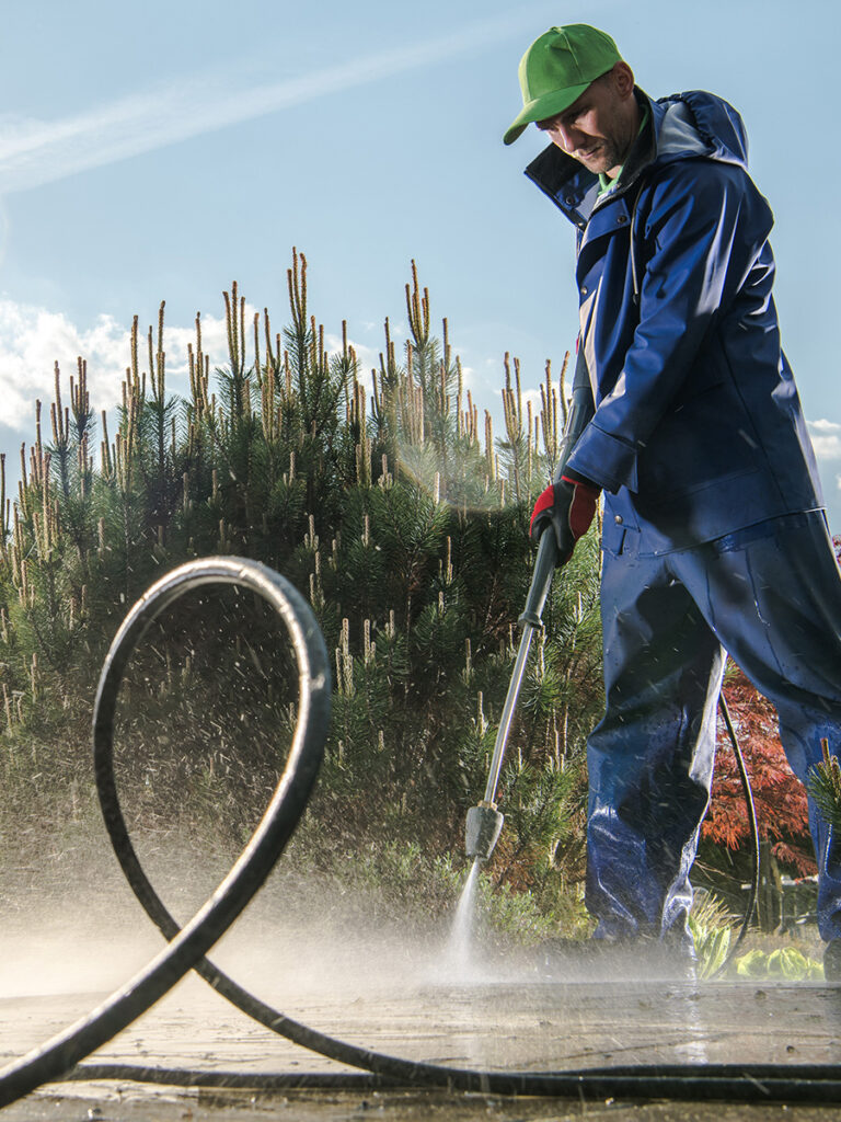 Hochdruckreinigung Hamburg Einfahrt und Terrasse